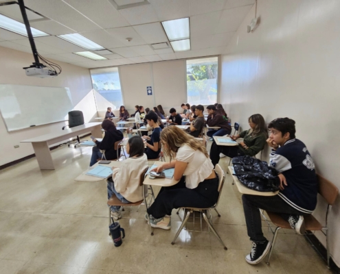 380326223_329815152780010_1879636037937988627_n