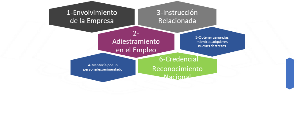 componentes de aprendizaje registrado