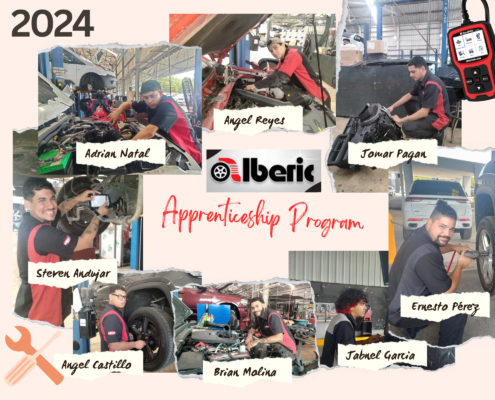 Collage Participantes Programa